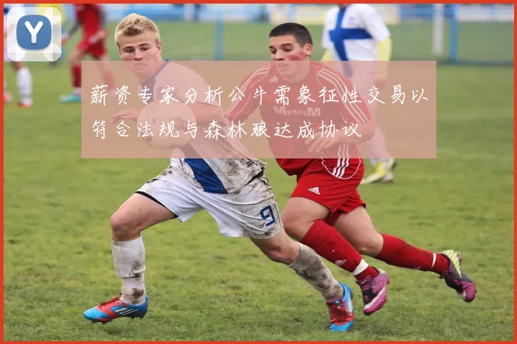 薪资专家分析公牛需象征性交易以符合法规与森林狼达成协议