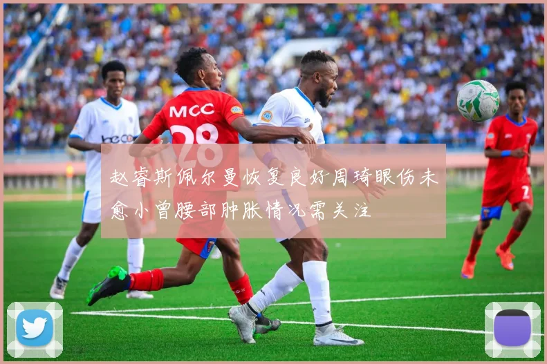 赵睿斯佩尔曼恢复良好周琦眼伤未愈小曾腰部肿胀情况需关注